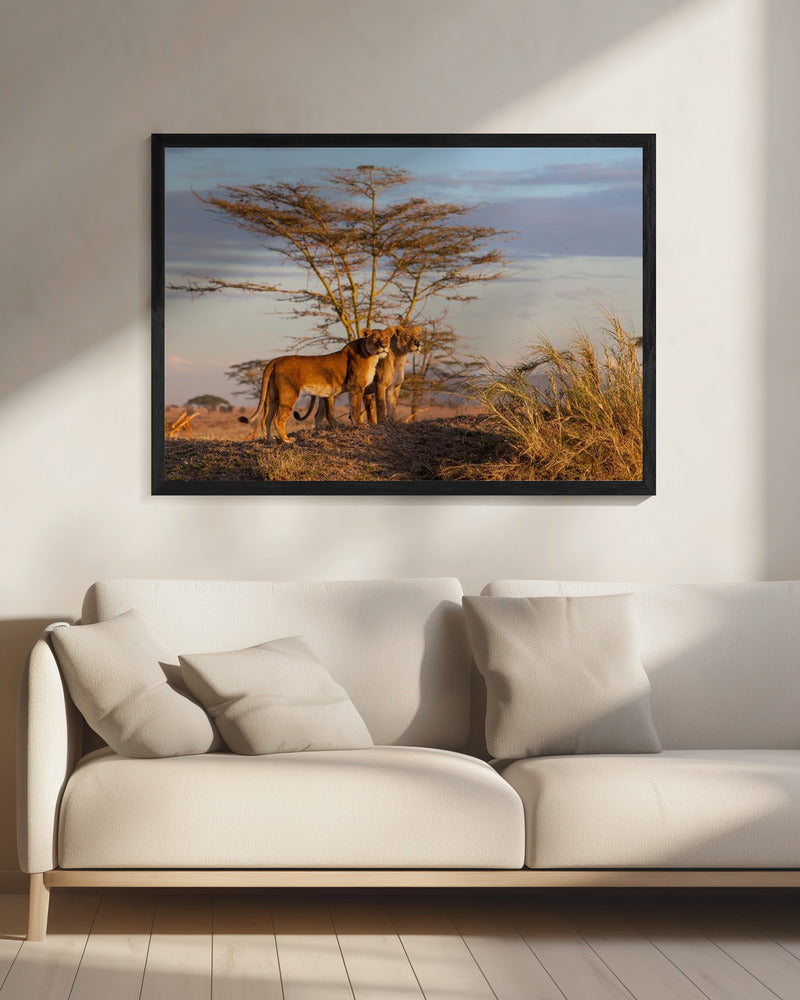 Sisters | Canvas