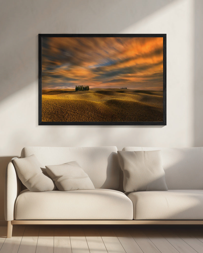 Cypresses... | Canvas