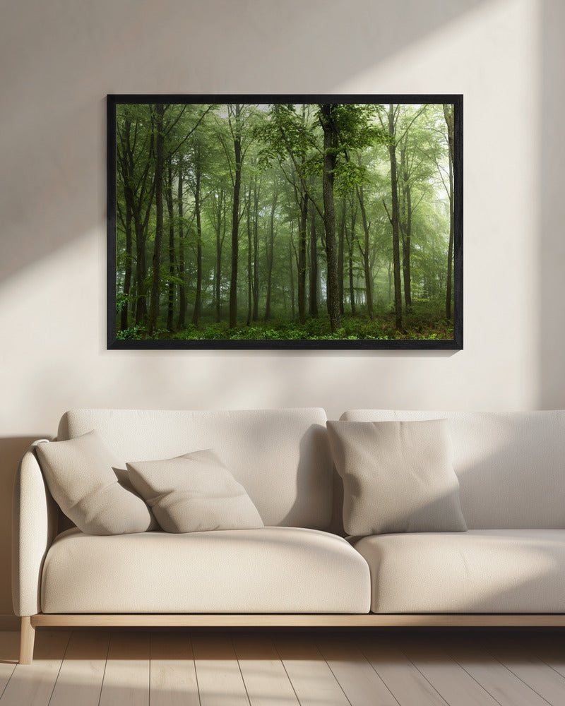 Wald... | Leinwand