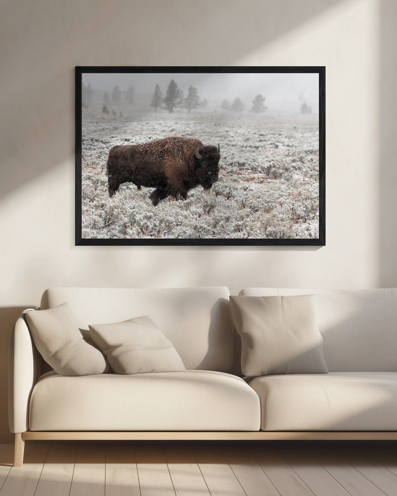 Yellowstone im Spätherbst | Leinwand
