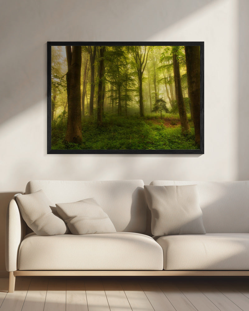 Der kleine Baum | Leinwand