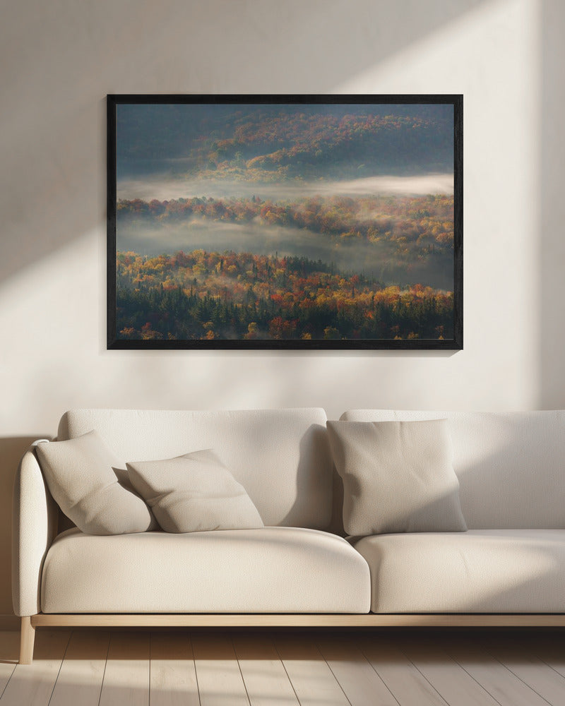Nebliger Morgen | Leinwand