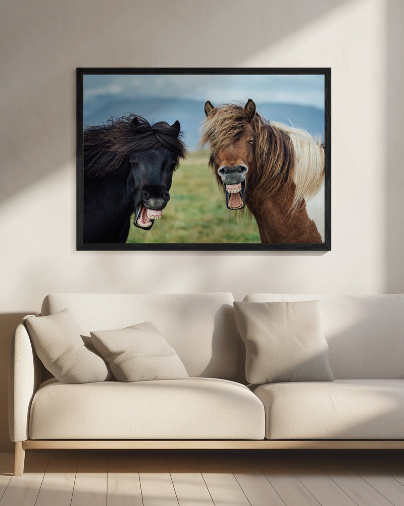 WILD SMILE | Canvas