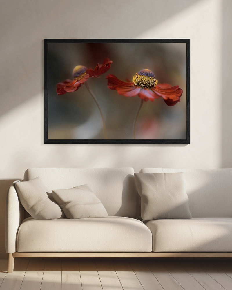 Helenium Tanz | Leinwand