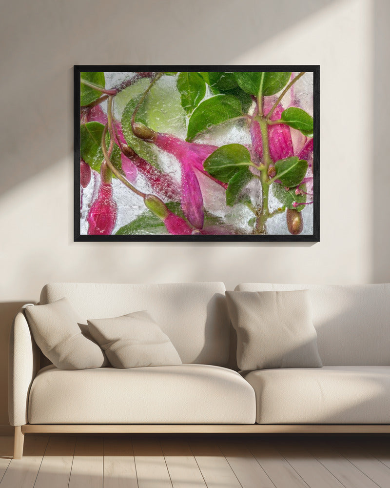 Fuchsia Freeze | Leinwand