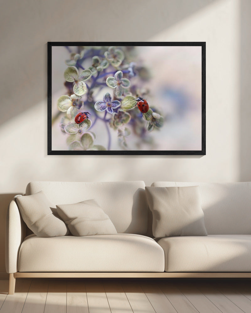 Fragile | Canvas