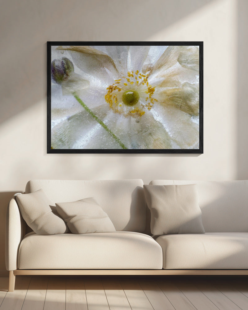 Florales Einfrieren | Leinwand
