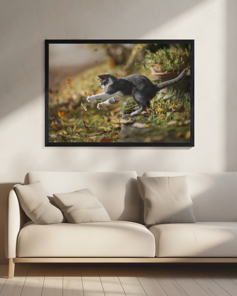 Herbstspiel | Leinwand