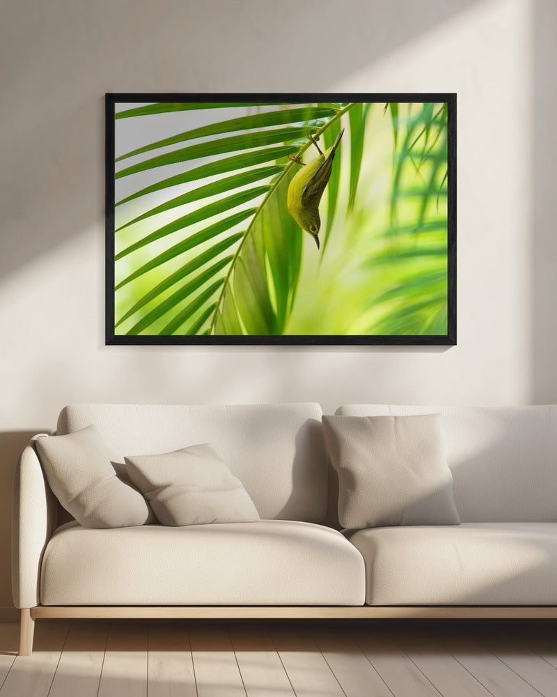 50 Grüntöne | Leinwand