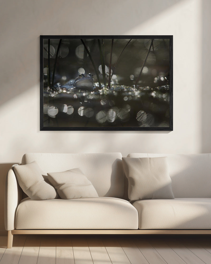Moorfrosch | Leinwand