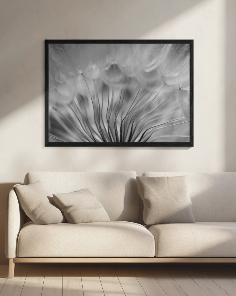 Dream | Canvas