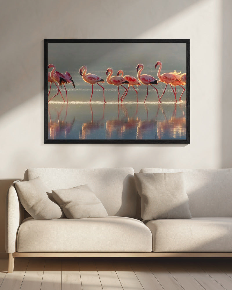 Flamingo | Leinwand