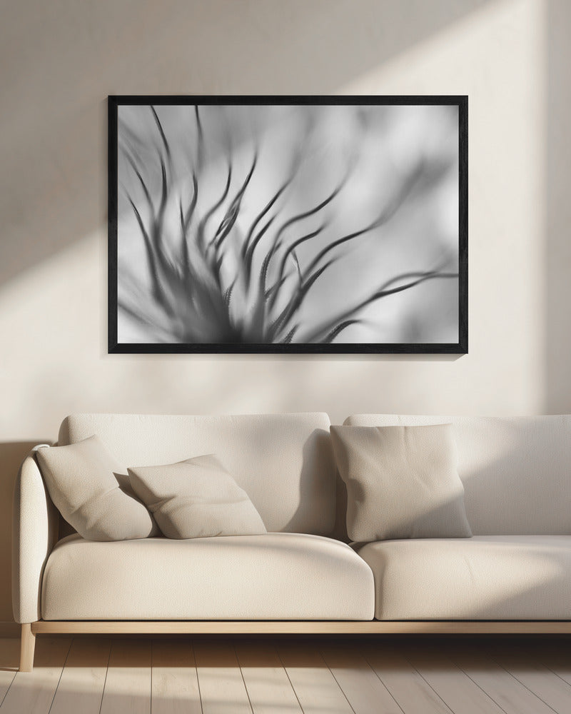 Ohne Titel | Leinwand