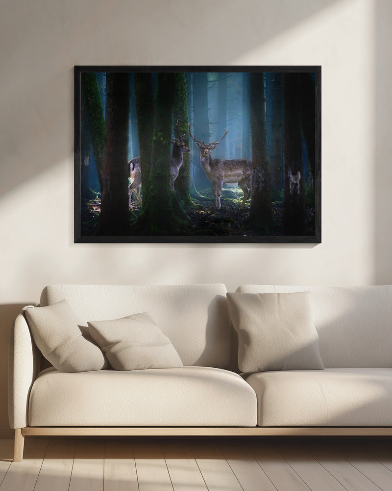 Hirsche | Leinwand