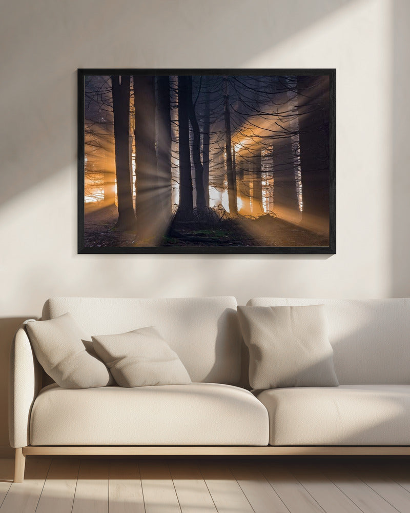 Wald | Leinwand
