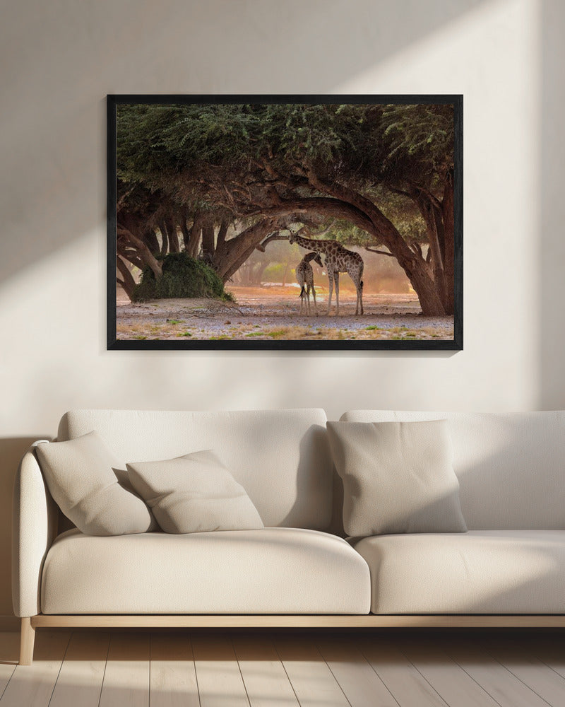 Giraffe - Namibia | Leinwand