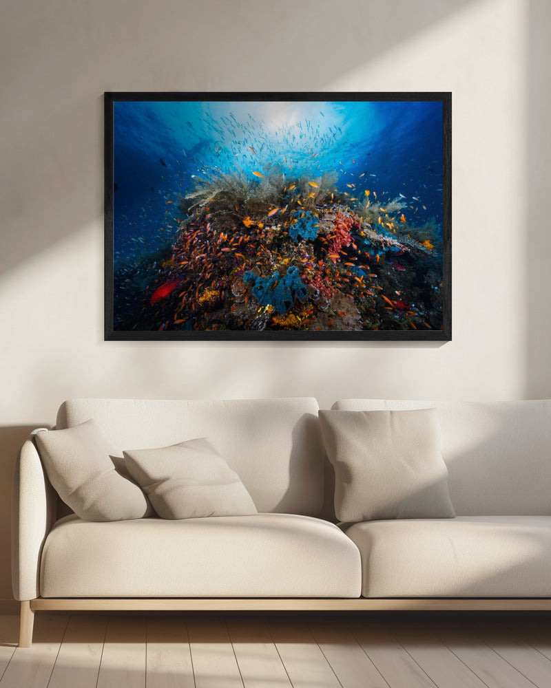 Apnea | Canvas