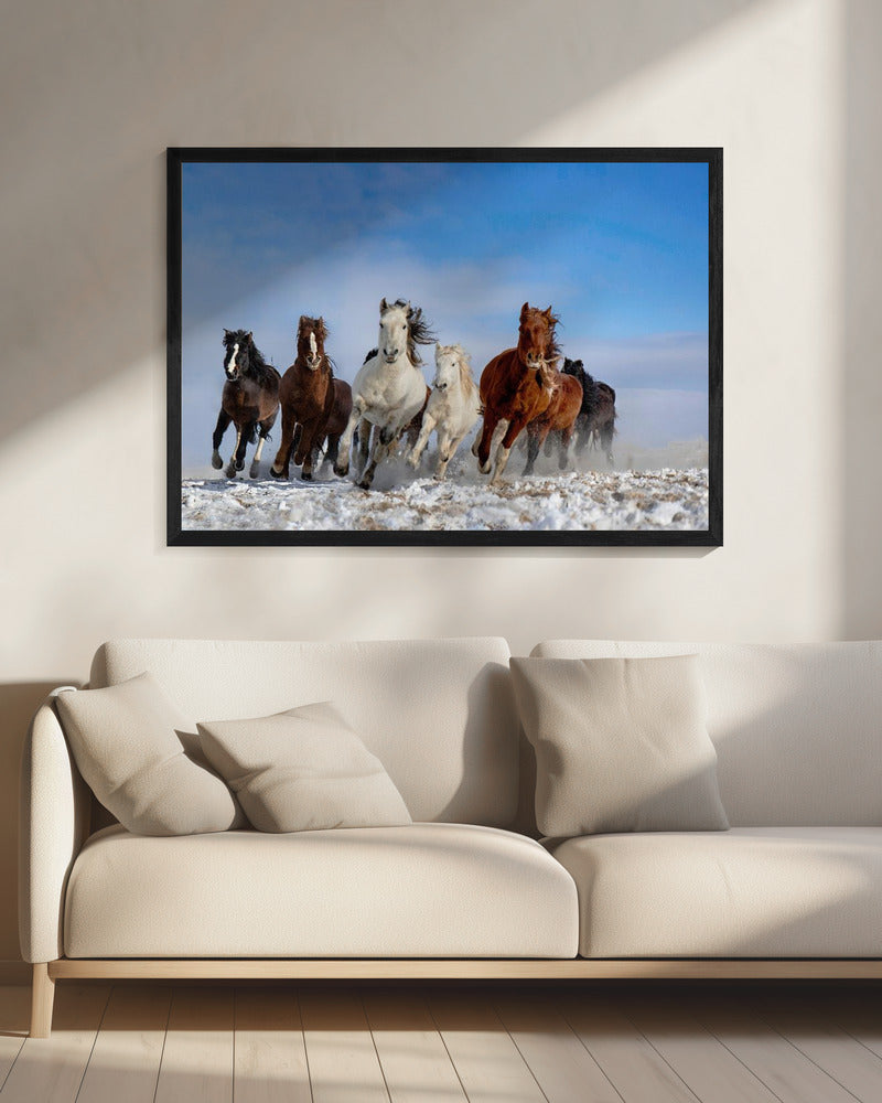 Mongolische Pferde | Leinwand