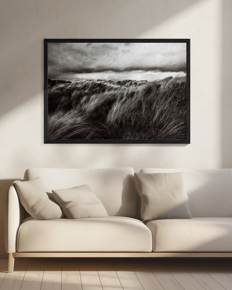 Grasdünen | Leinwand