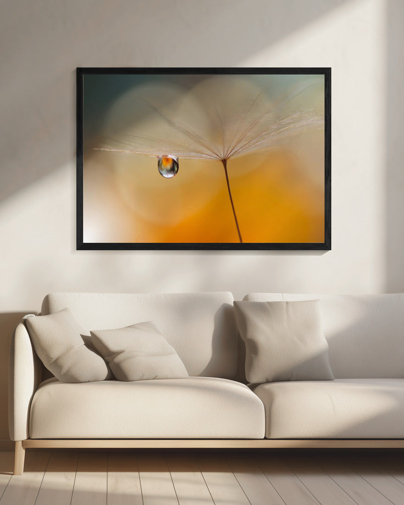 Kleine Nachtmusik... | Leinwand