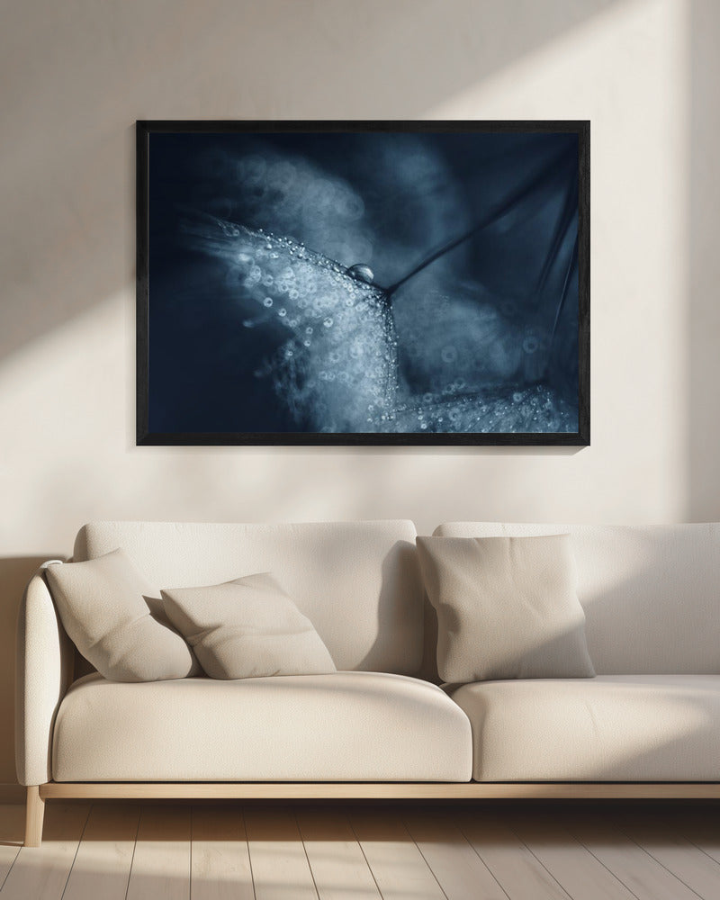 Blaue Pusteblumen | Leinwand