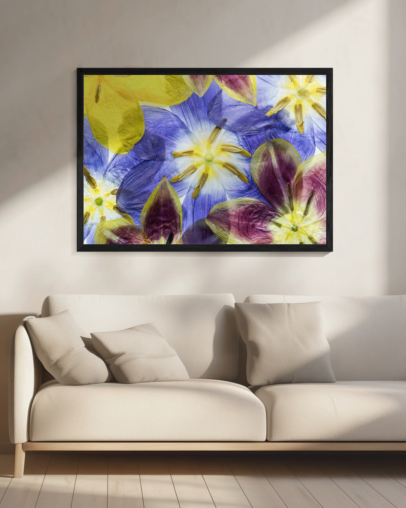 Tulpen | Leinwand
