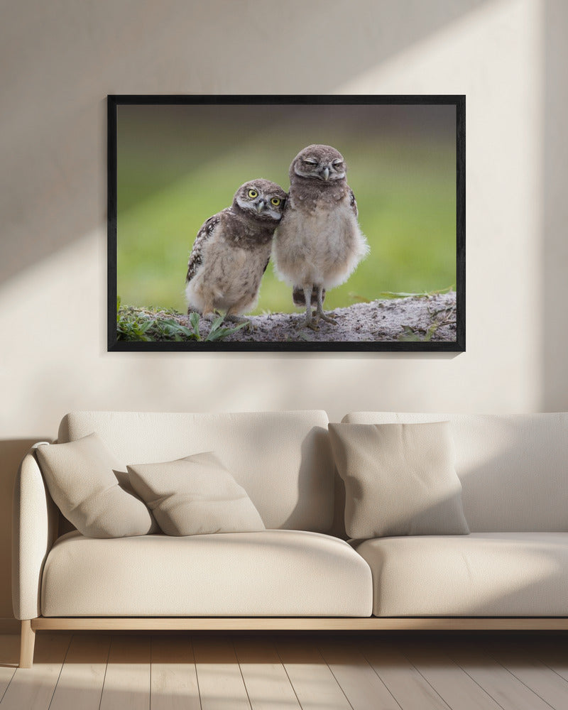 Freunde | Leinwand