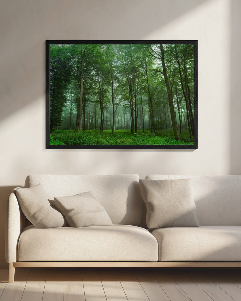 Waldblick | Leinwand