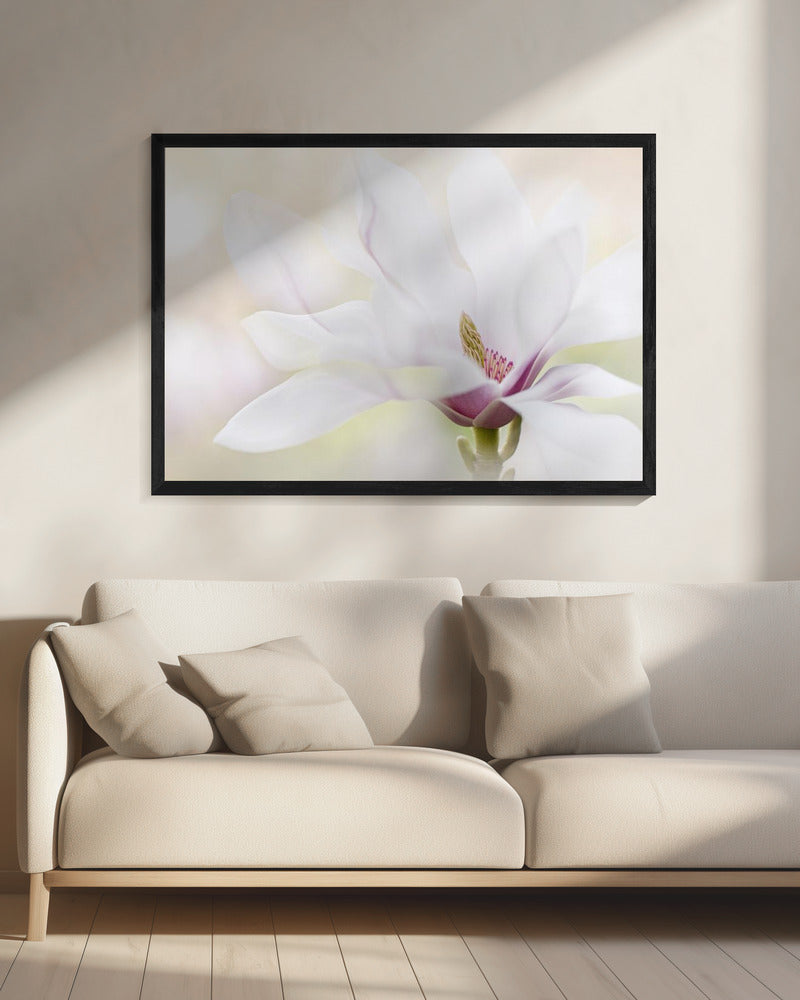 Purity | Canvas