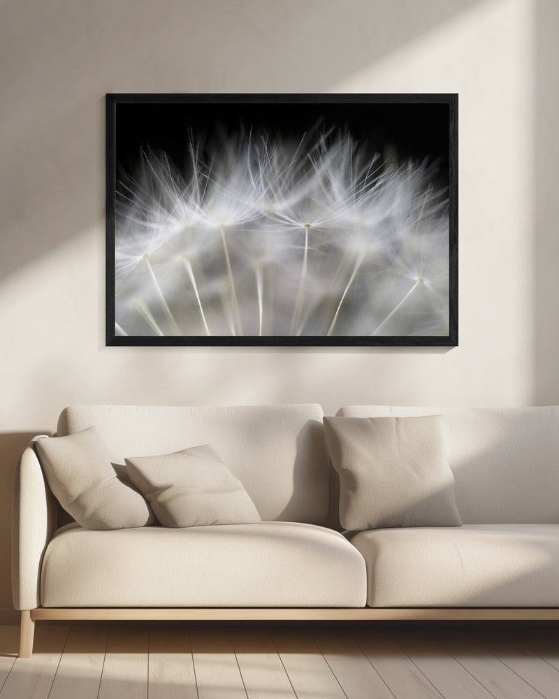 Blow it | Canvas