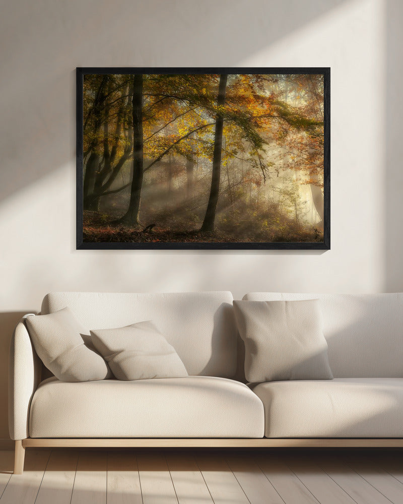 Die Lichter des Waldes | Leinwand