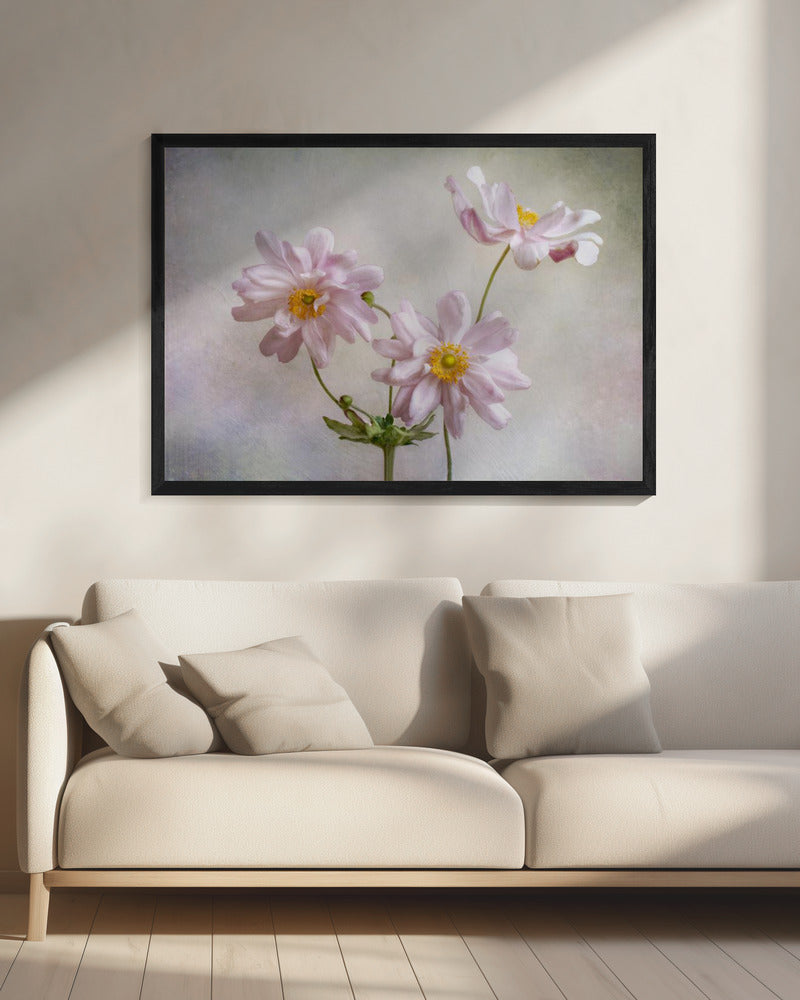 Anemonen | Leinwand