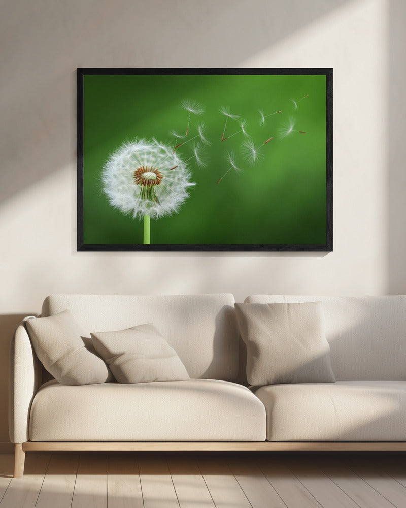 Pusteblume | Leinwand