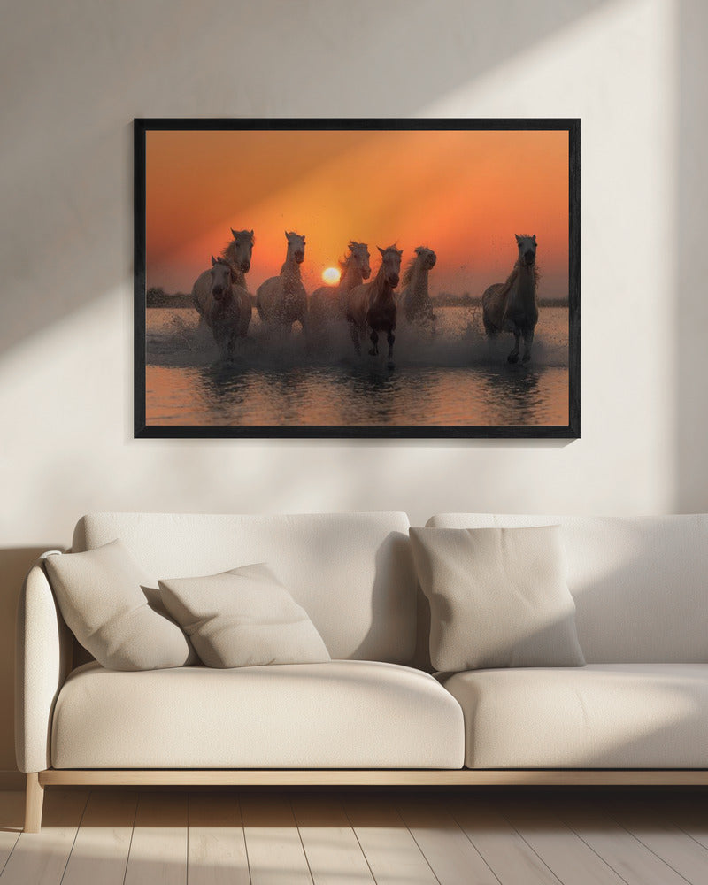 Sonnenuntergang in der Camargue | Leinwand