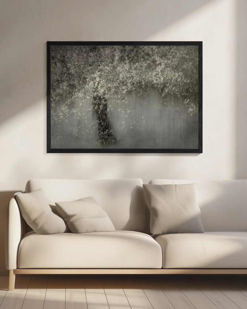 Weiße Blüte | Leinwand