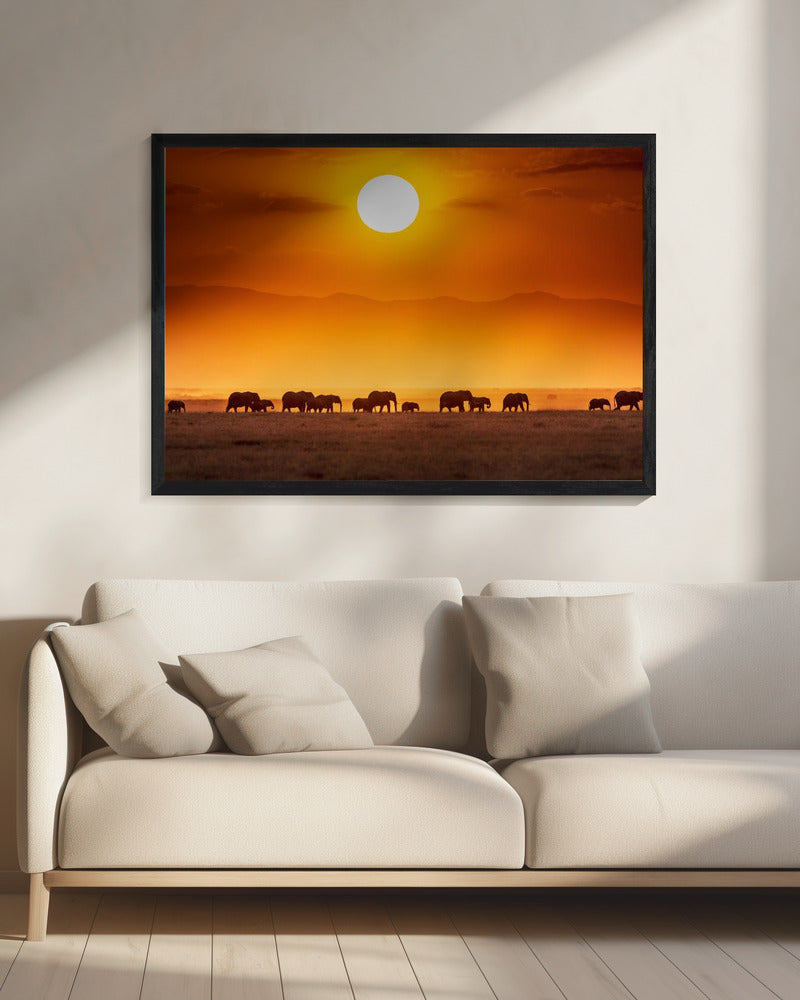 Sonnenaufgangsparade | Leinwand