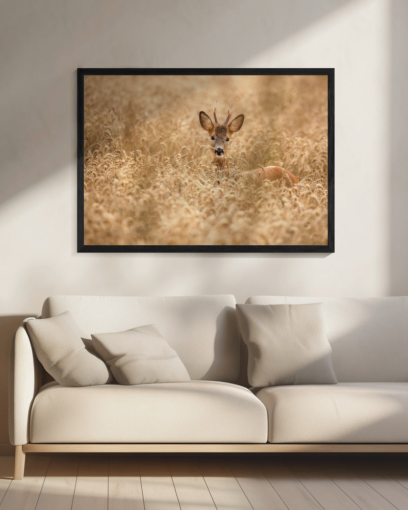 Hirsch auf dem Feld | Leinwand