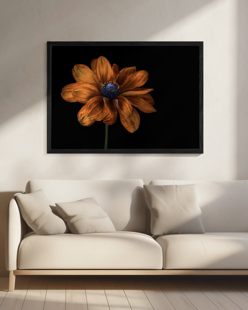 Rudbeckia | Leinwand