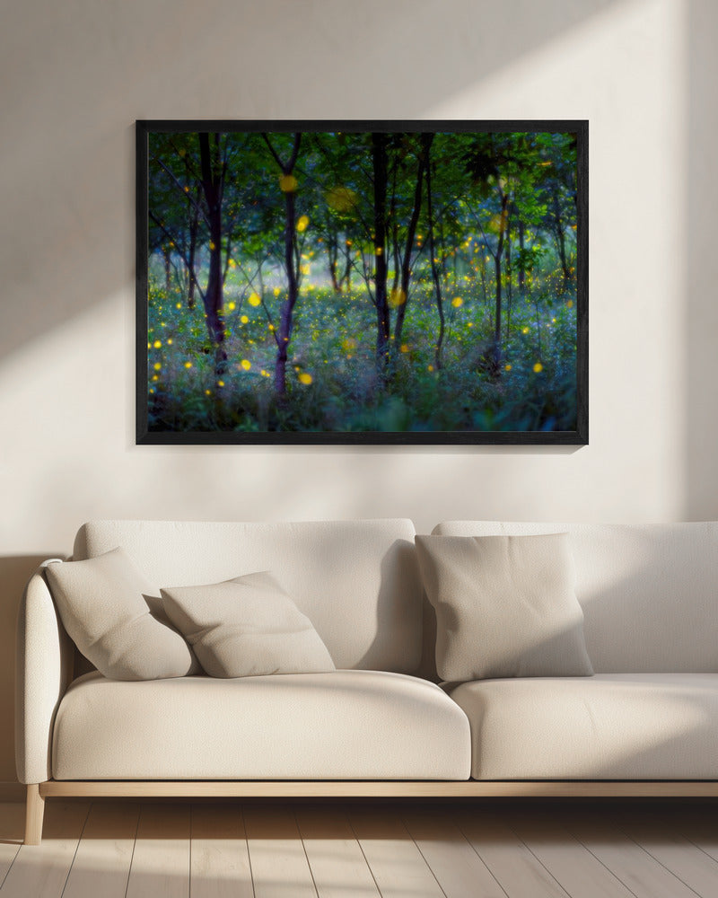 Magische Glühwürmchen | Leinwand