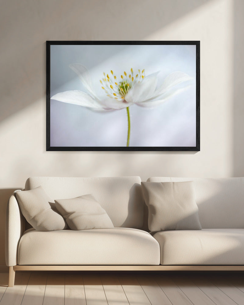nemorosa | Leinwand