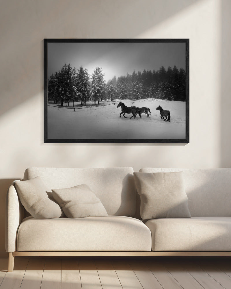 Ohne Titel | Leinwand