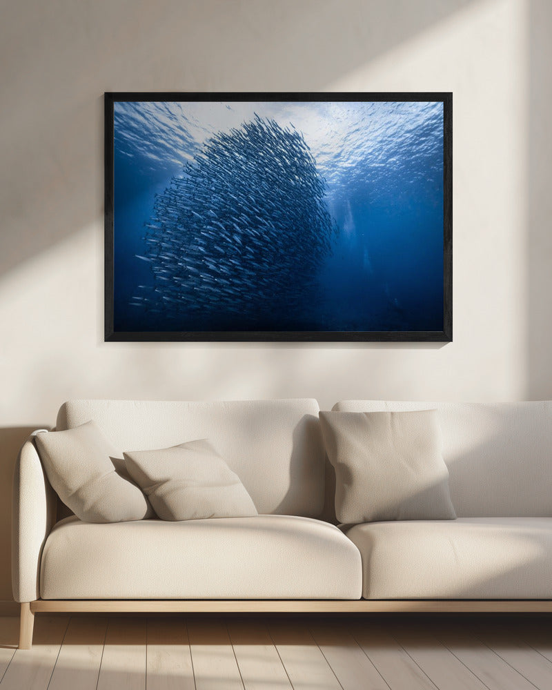 Mass giant | Canvas