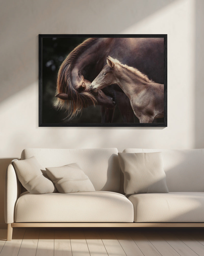 The Bond | Canvas