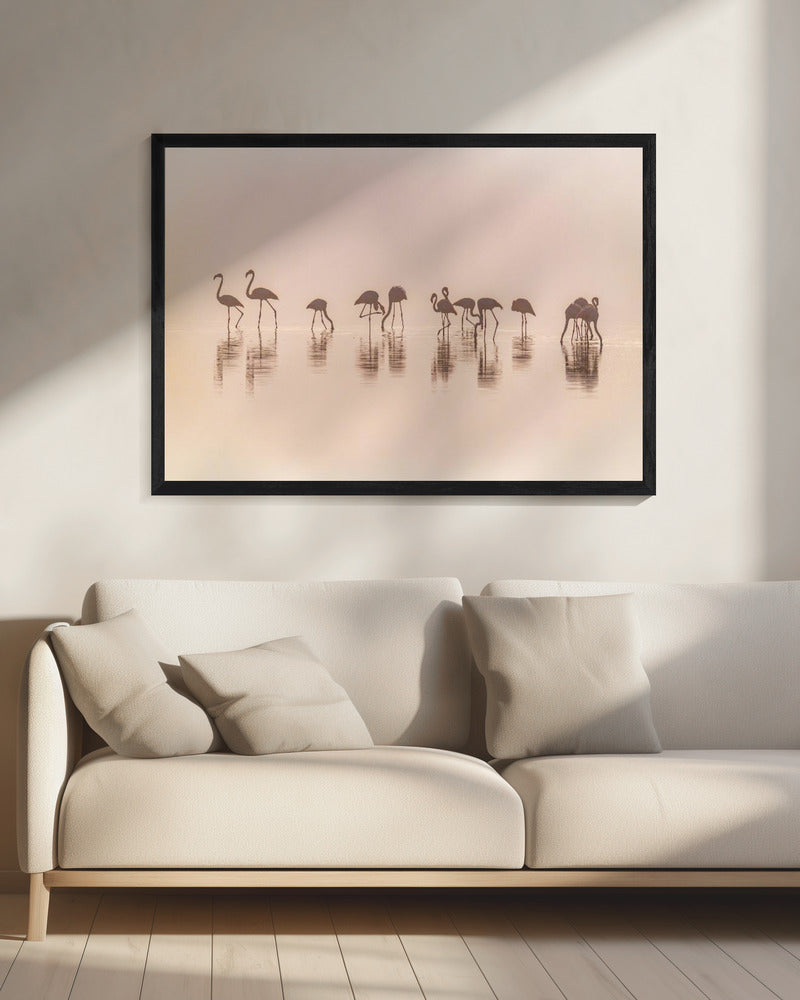 Flamingos im Nebel | Leinwand