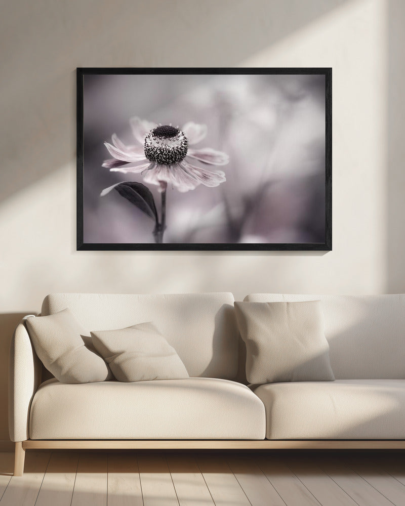 Helenium | Leinwand