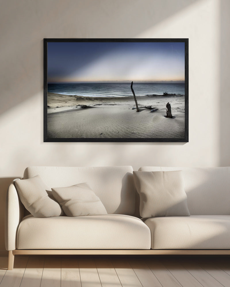 Reach for the sun | Canvas