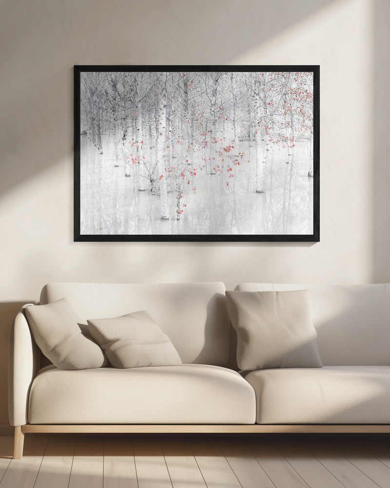 Red & white | Canvas