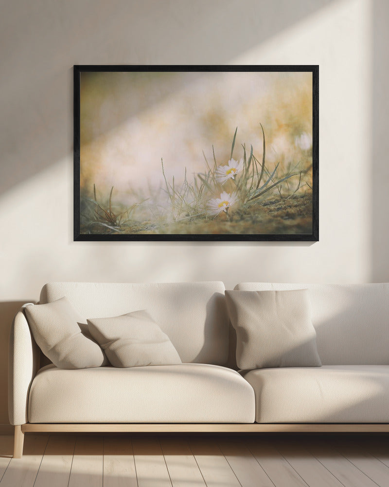 Ohne Titel | Leinwand
