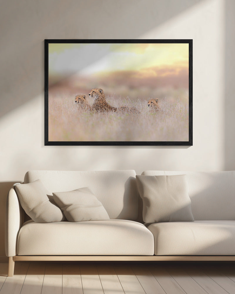 Gepardenfamilie | Leinwand