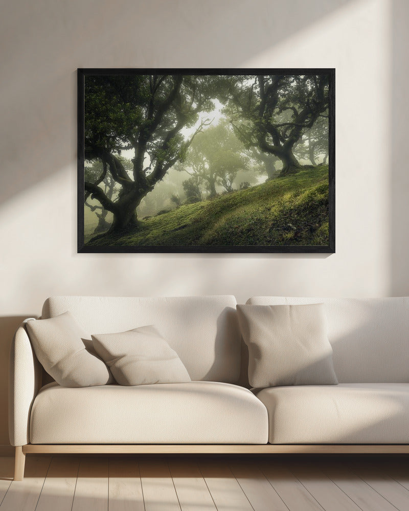 Zauberwald | Leinwand